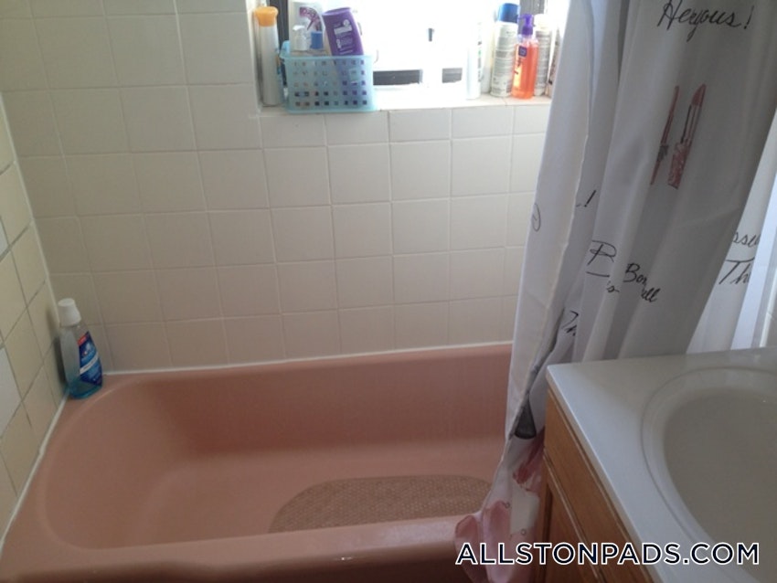 BOSTON - ALLSTON - 2 Beds, 1 Bath - Image 4