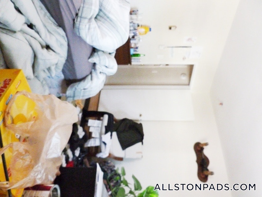 BOSTON - ALLSTON - 1 Bed, 1 Bath - Image 39