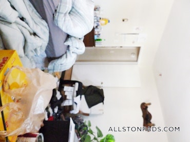 Boston - 1 Beds, 1 Baths