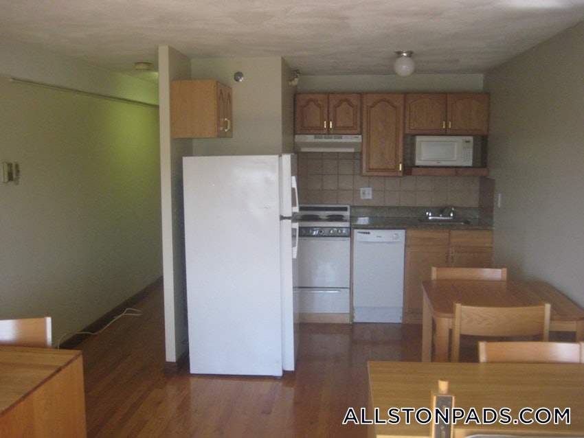 BOSTON - ALLSTON - Studio , 1 Bath - Image 1