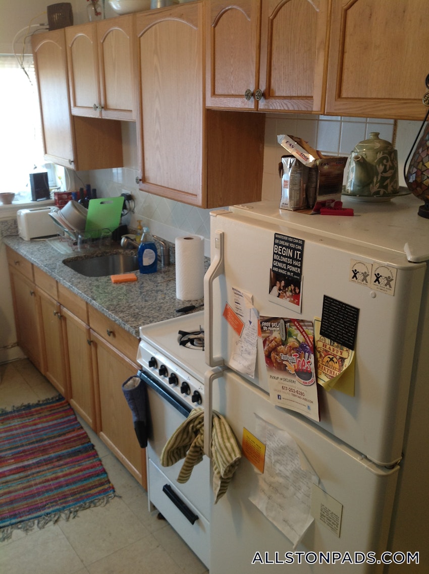 BOSTON - ALLSTON - 1 Bed, 1 Bath - Image 5