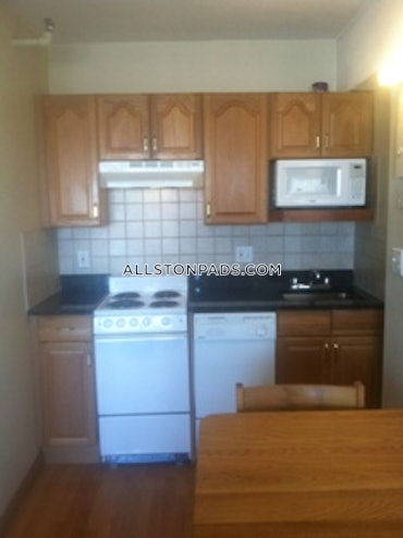 Allston, Boston, MA - Studio, 1 Bath - $2,100 - ID#8007604