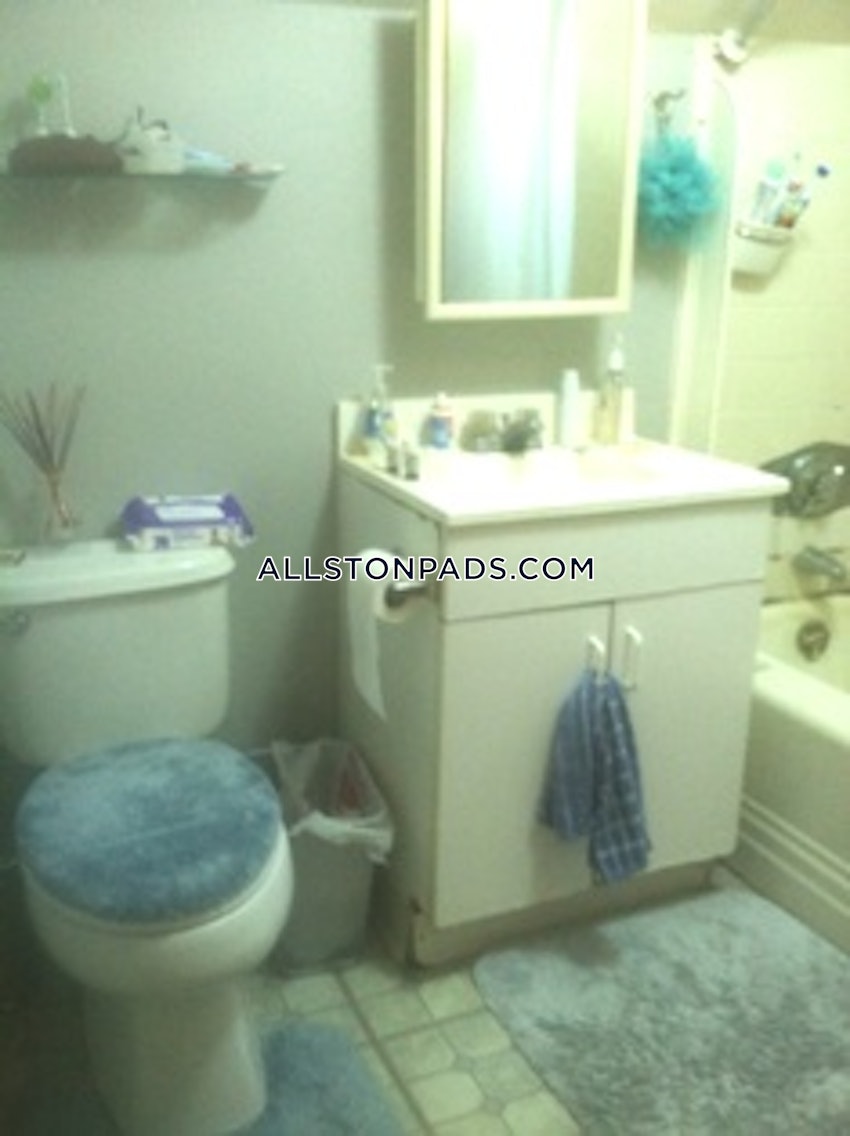 BOSTON - ALLSTON - 1 Bed, 1 Bath - Image 3