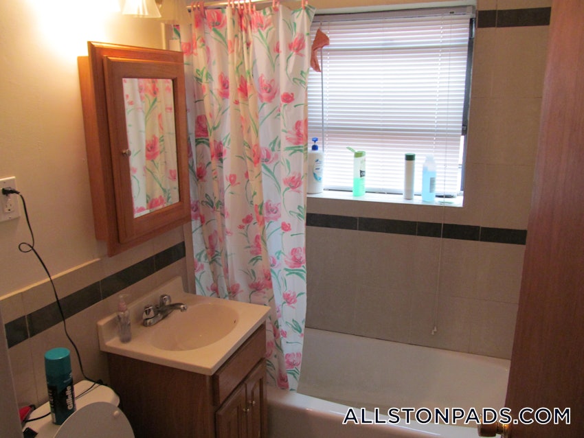 BOSTON - ALLSTON - 1 Bed, 1 Bath - Image 41