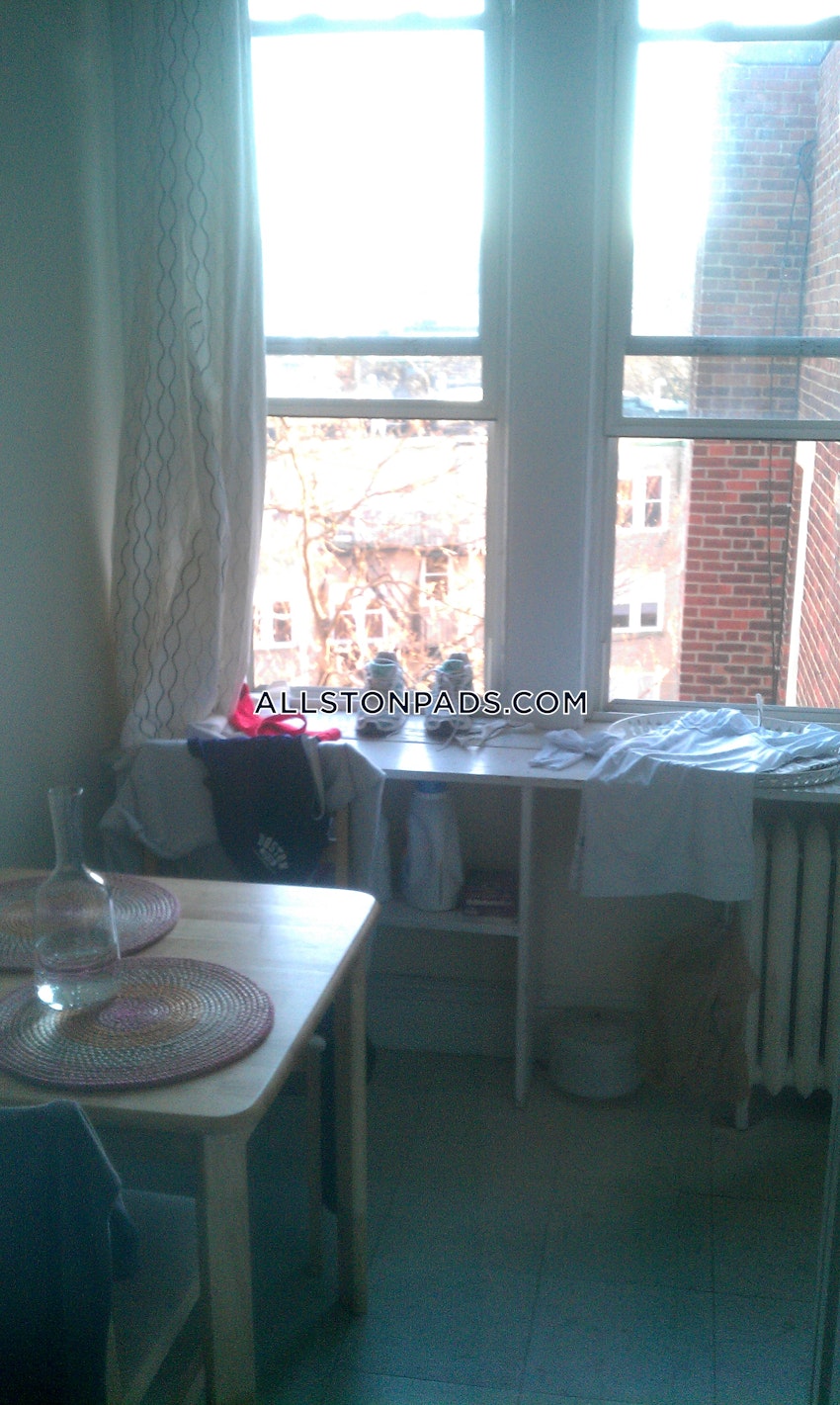 BOSTON - ALLSTON - Studio , 1 Bath - Image 6