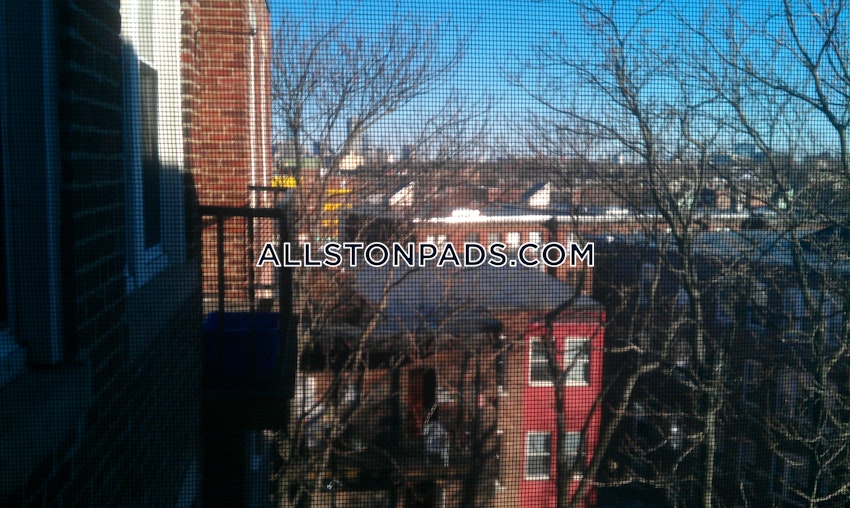 BOSTON - ALLSTON - Studio , 1 Bath - Image 8