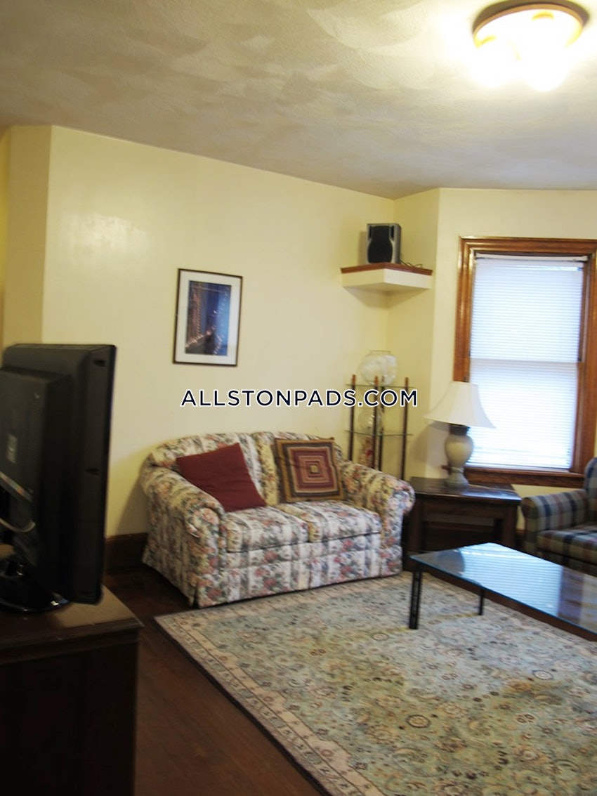 BOSTON - ALLSTON - 1 Bed, 1 Bath - Image 4