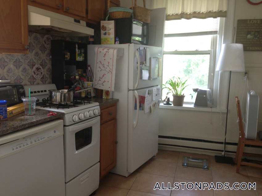 BOSTON - ALLSTON - 1 Bed, 1 Bath - Image 9