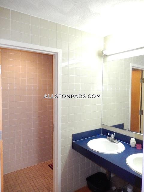 Commonwealth Ave. Boston photo 19