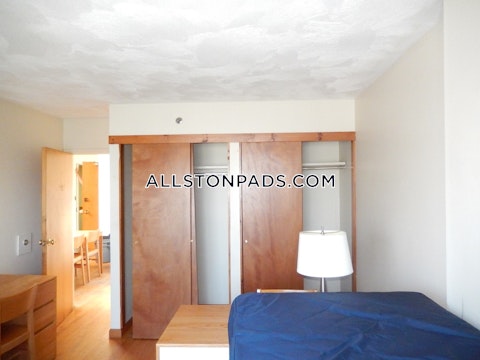 Commonwealth Ave. Boston photo 2