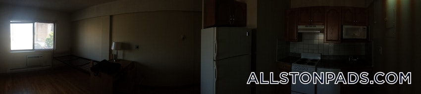 BOSTON - ALLSTON - Studio , 1 Bath - Image 4