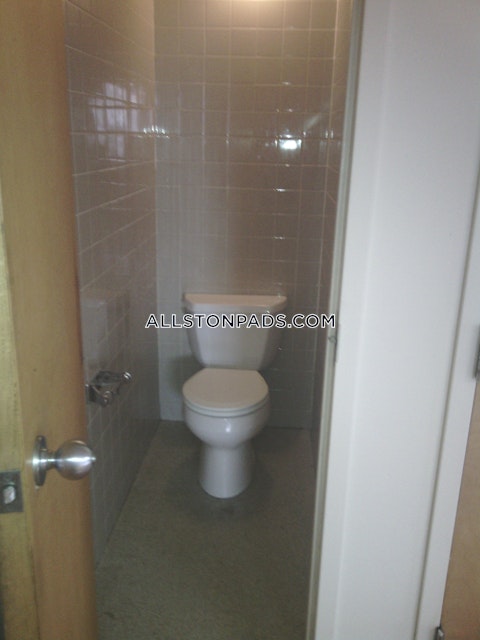 commonwealth Ave. Boston photo 19