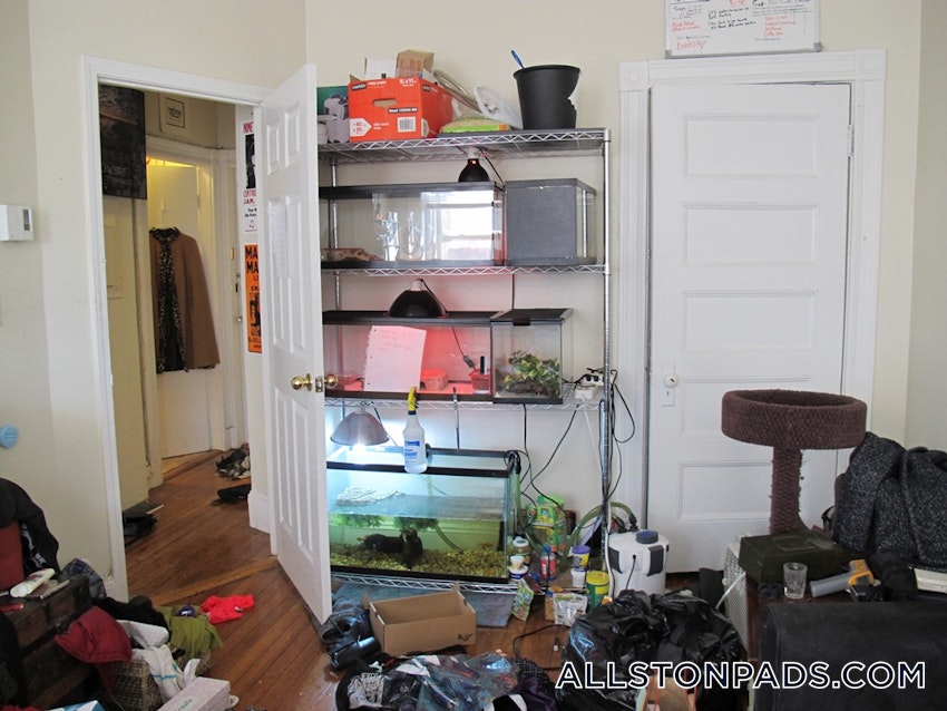 BOSTON - ALLSTON - 1 Bed, 1 Bath - Image 8