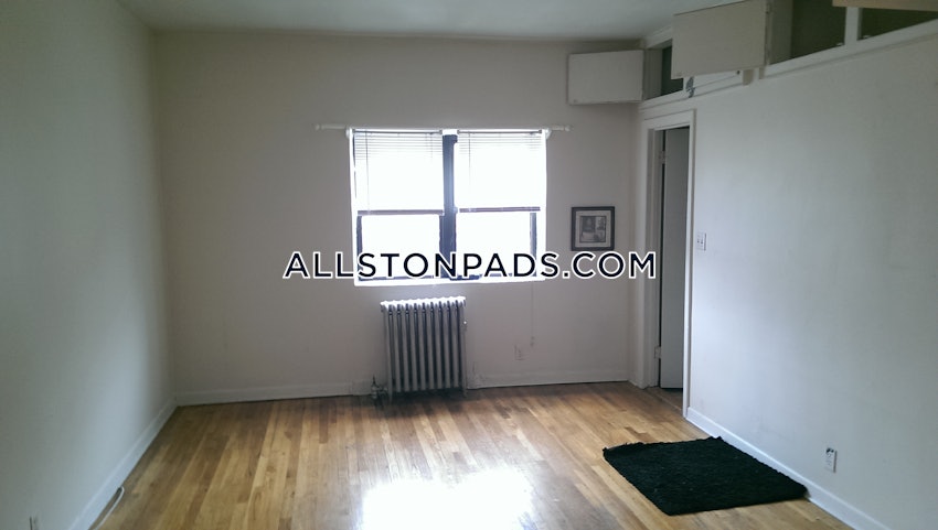 BOSTON - BRIGHTON - CLEVELAND CIRCLE - 1 Bed, 1 Bath - Image 10