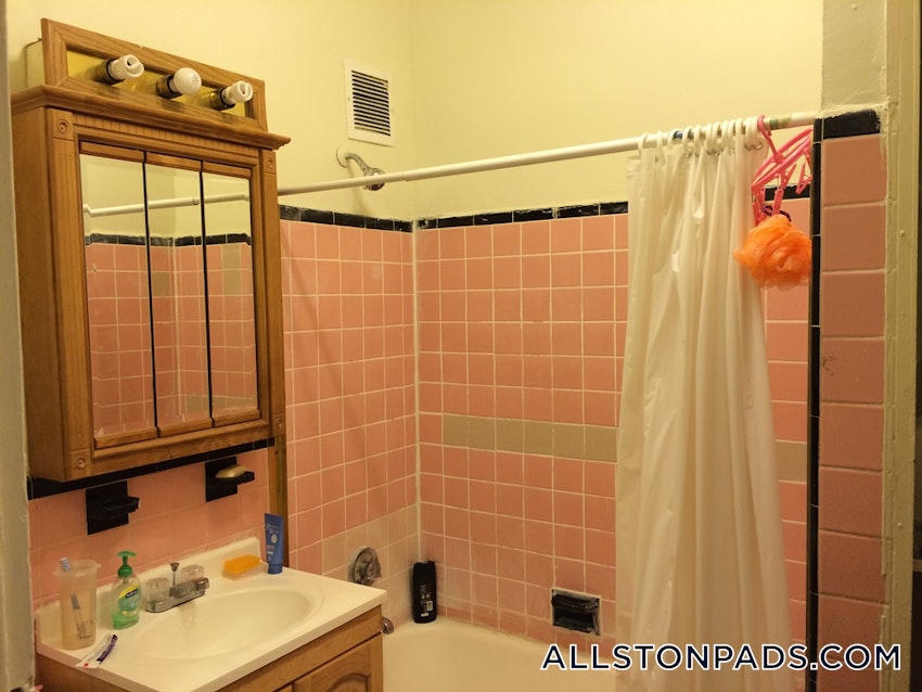 BOSTON - ALLSTON - 1 Bed, 1 Bath - Image 10