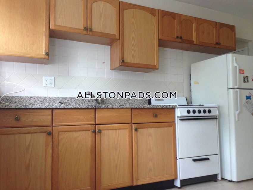 BOSTON - ALLSTON - 1 Bed, 1 Bath - Image 4