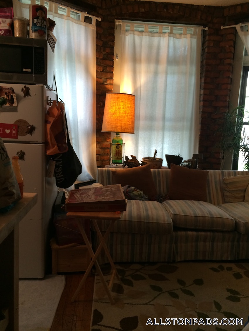 BOSTON - ALLSTON - Studio , 1 Bath - Image 2