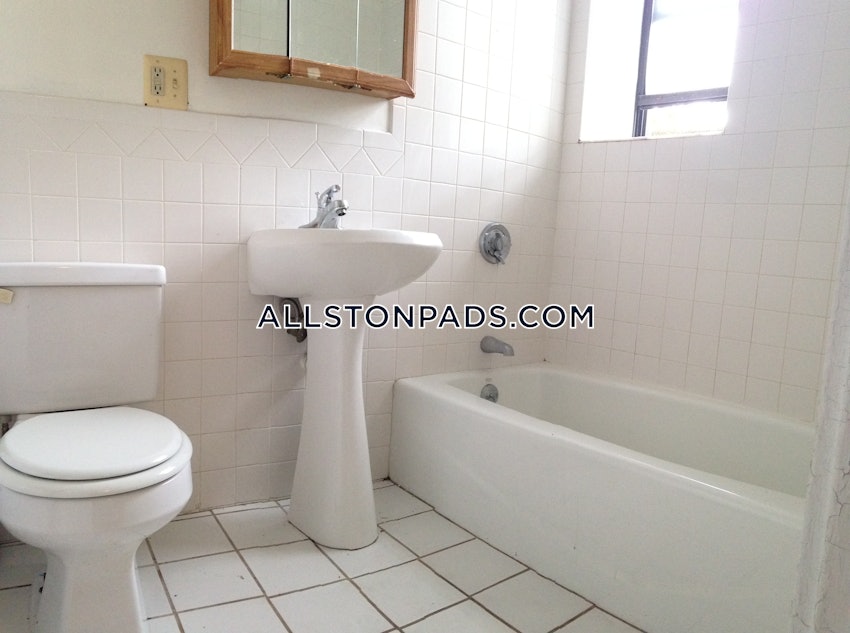 BOSTON - ALLSTON/BRIGHTON BORDER - Studio , 1 Bath - Image 13