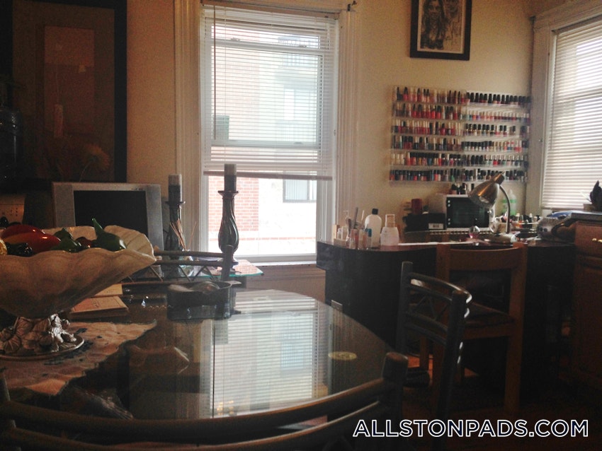 BOSTON - ALLSTON - 1 Bed, 1 Bath - Image 19