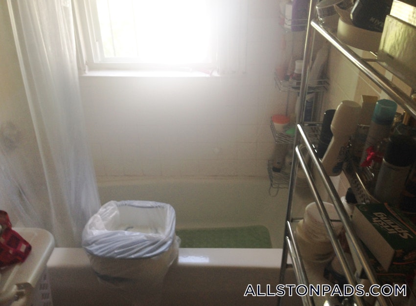 BOSTON - ALLSTON - 1 Bed, 1 Bath - Image 33