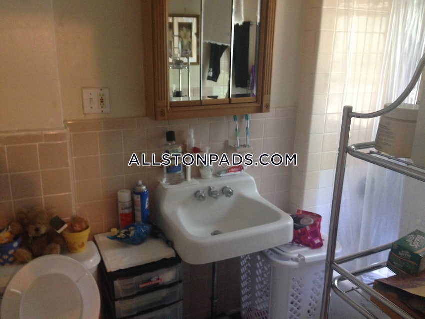 BOSTON - ALLSTON/BRIGHTON BORDER - 1 Bed, 1 Bath - Image 5