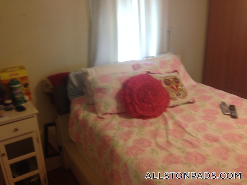 BOSTON - ALLSTON - 1 Bed, 1 Bath - Image 6