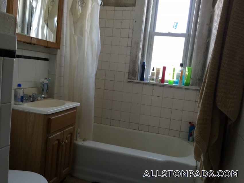 BOSTON - ALLSTON - 1 Bed, 1 Bath - Image 17