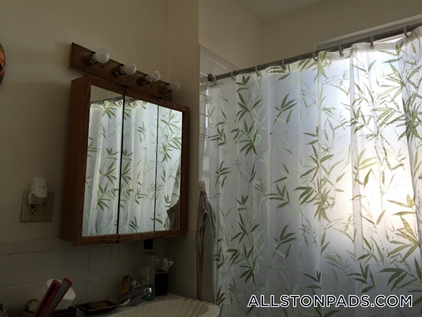 BOSTON - ALLSTON - 1 Bed, 1 Bath - Image 4