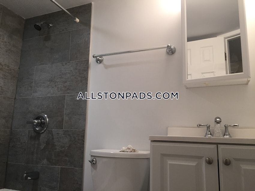 BOSTON - ALLSTON - 1 Bed, 1 Bath - Image 13