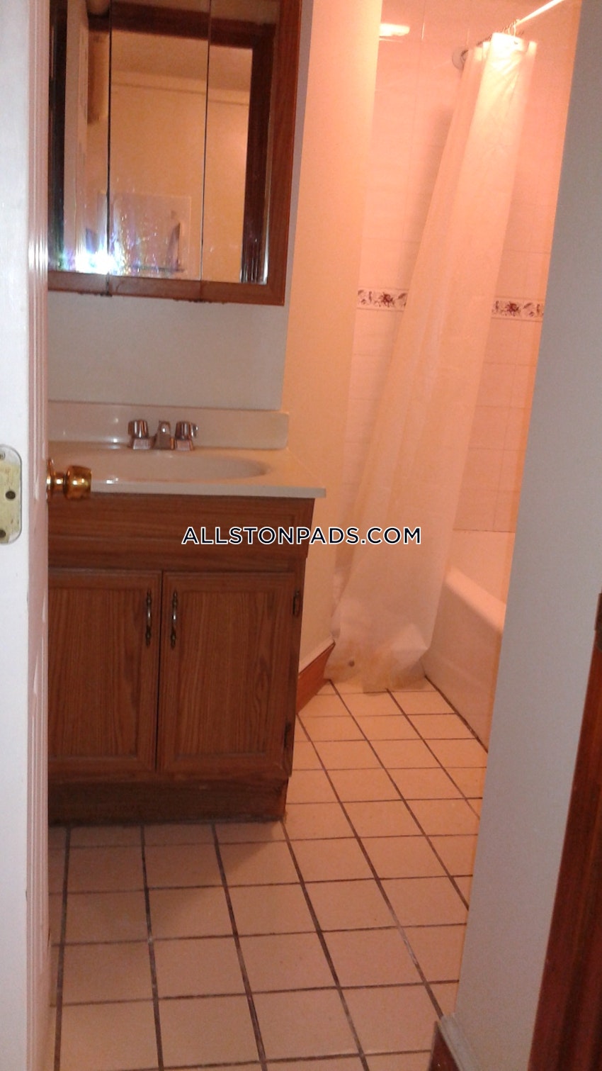 BOSTON - ALLSTON - 2 Beds, 1 Bath - Image 57