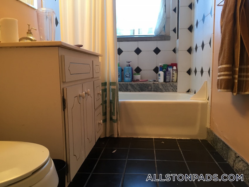 BOSTON - ALLSTON - 2 Beds, 1 Bath - Image 1