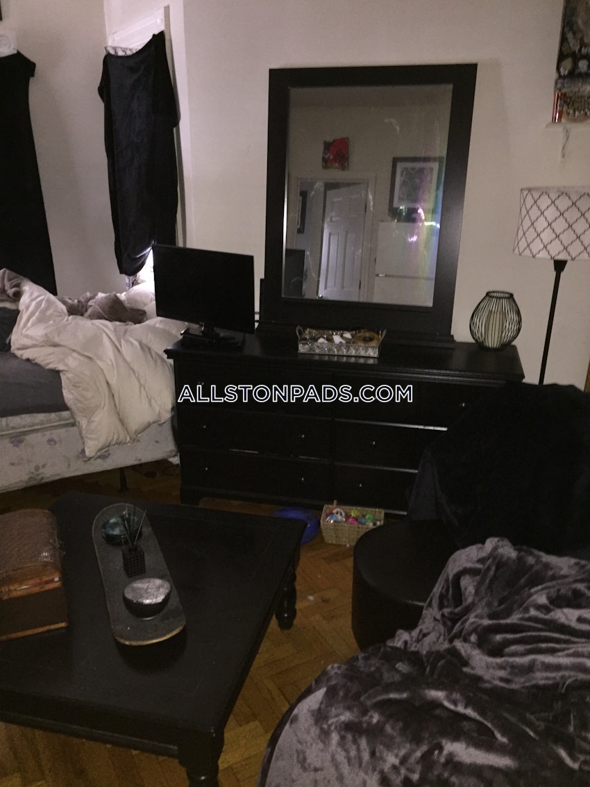 BOSTON - ALLSTON - Studio , 1 Bath - Image 6