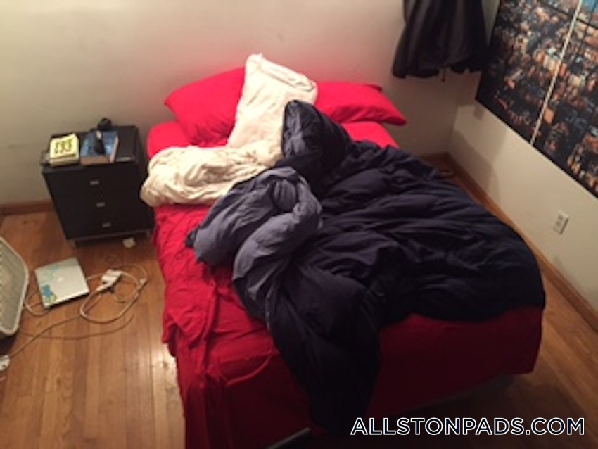 BOSTON - ALLSTON - 3 Beds, 2 Baths - Image 2