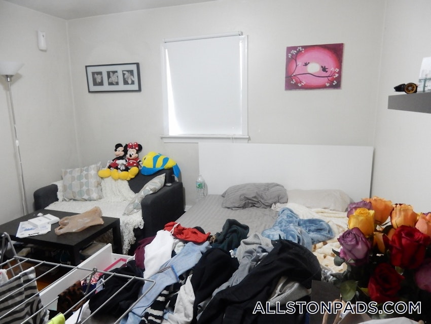 BOSTON - ALLSTON - 2 Beds, 1 Bath - Image 4