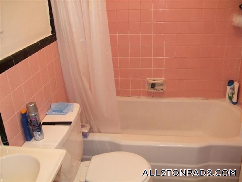 BOSTON - ALLSTON - 1 Bed, 1 Bath - Image 28