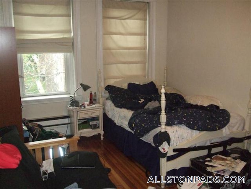 BOSTON - ALLSTON - 1 Bed, 1 Bath - Image 10