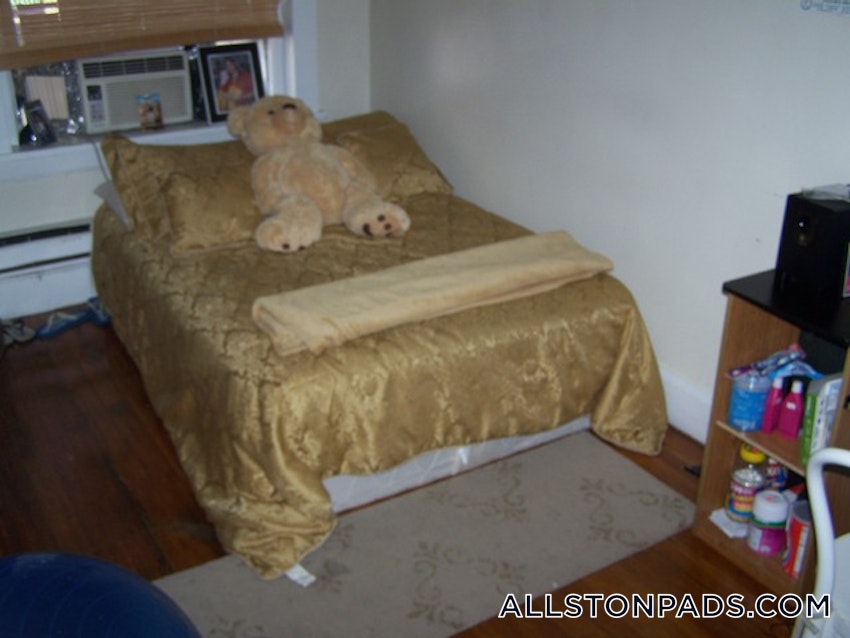 BOSTON - ALLSTON - 1 Bed, 1 Bath - Image 13