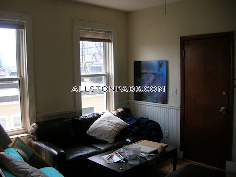 Linden St. Boston photo 35