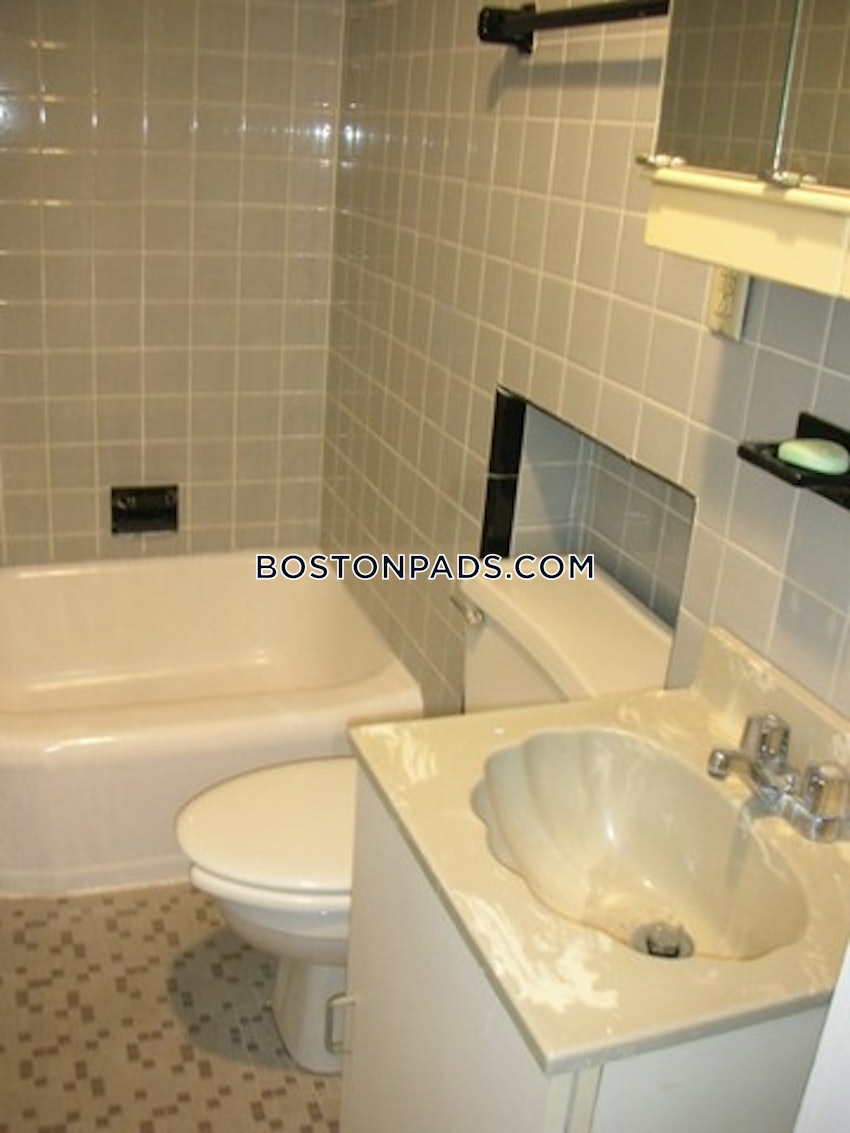 BOSTON - BRIGHTON- WASHINGTON ST./ ALLSTON ST. - 1 Bed, 1 Bath - Image 14