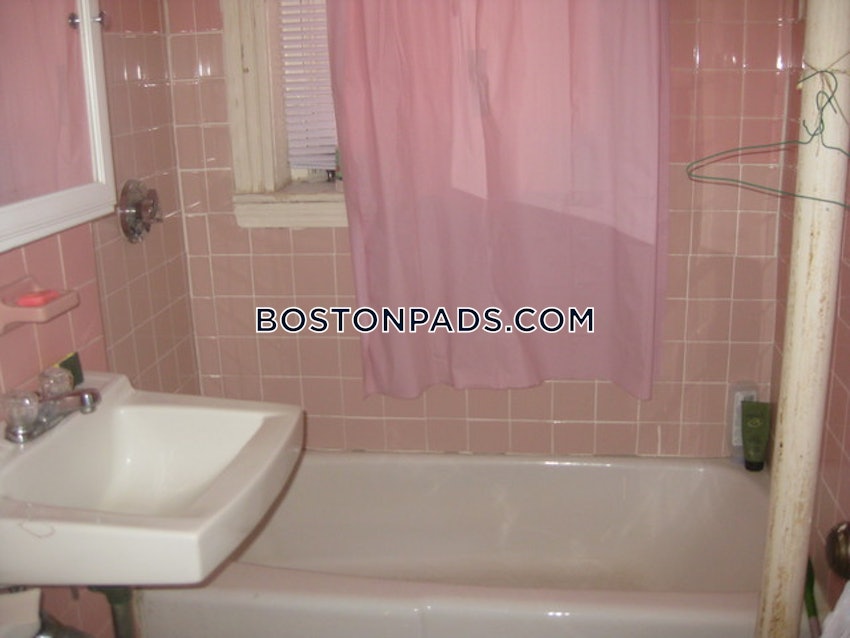 BOSTON - BRIGHTON- WASHINGTON ST./ ALLSTON ST. - 1 Bed, 1 Bath - Image 46
