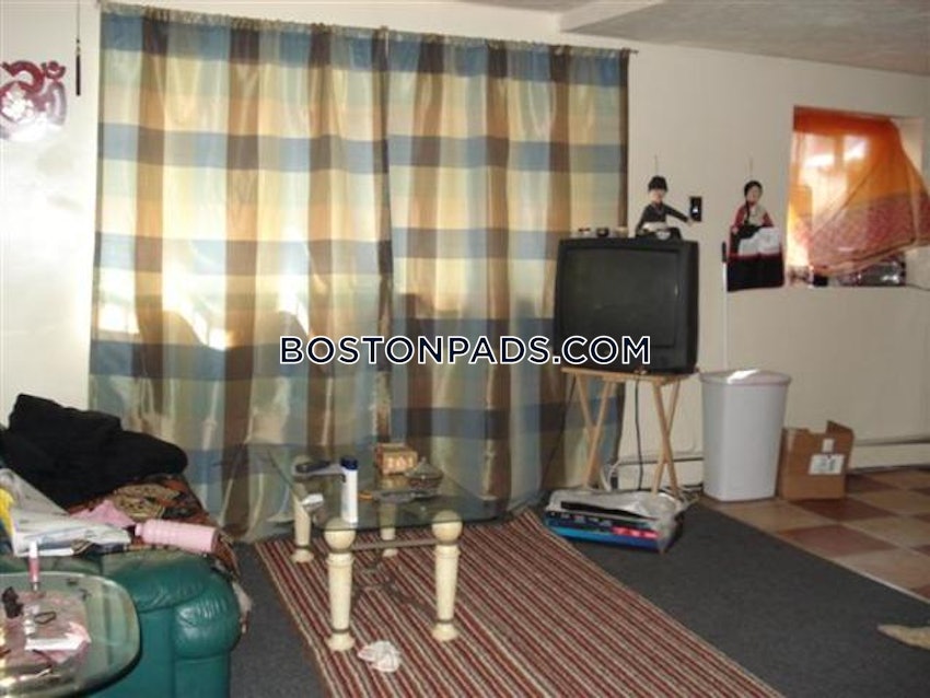 BOSTON - ALLSTON/BRIGHTON BORDER - 1 Bed, 1 Bath - Image 6