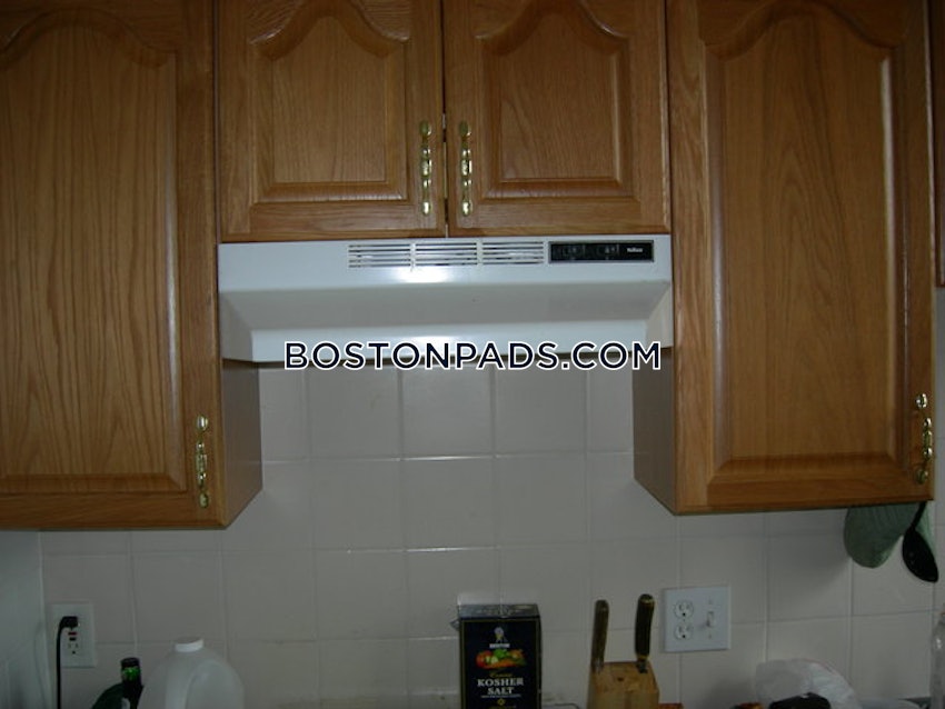 BOSTON - ALLSTON/BRIGHTON BORDER - 1 Bed, 1 Bath - Image 27