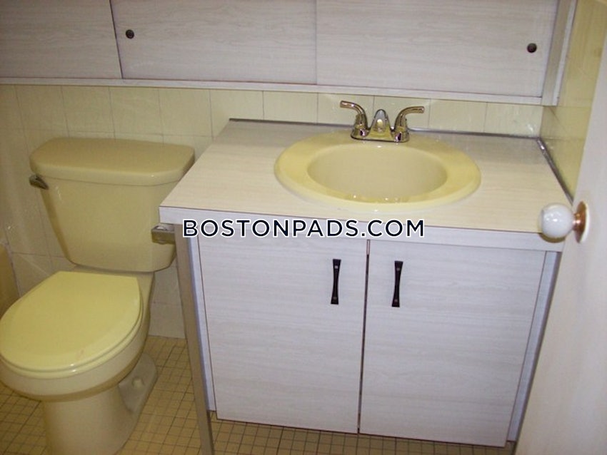 BOSTON - ALLSTON/BRIGHTON BORDER - Studio , 1 Bath - Image 4