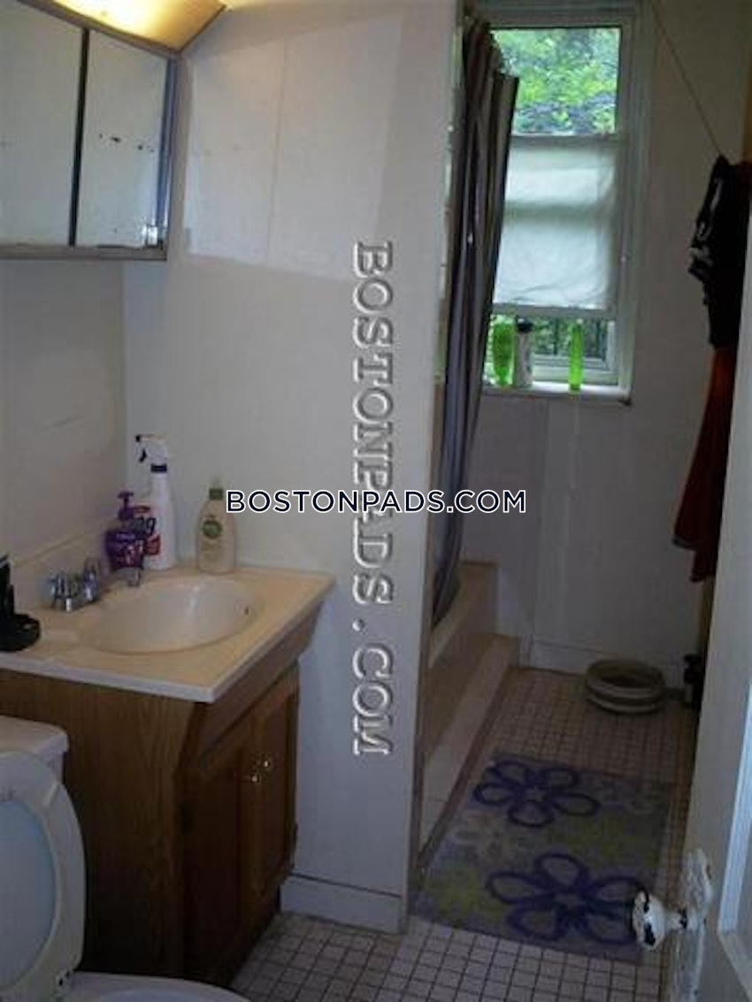 BOSTON - ALLSTON/BRIGHTON BORDER - 1 Bed, 1 Bath - Image 15