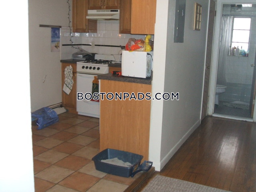 BOSTON - ALLSTON/BRIGHTON BORDER - 2 Beds, 1 Bath - Image 10