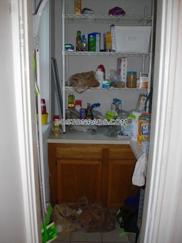 Commonwealth Ave. Boston