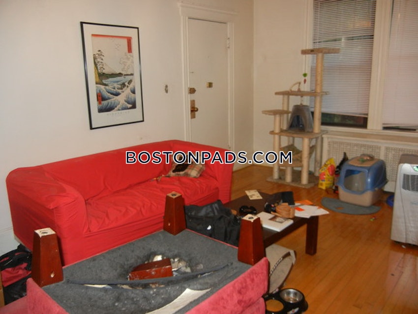 BOSTON - ALLSTON/BRIGHTON BORDER - 2 Beds, 1 Bath - Image 23