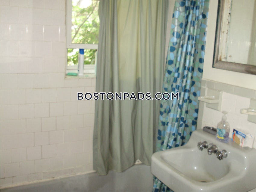 BOSTON - ALLSTON/BRIGHTON BORDER - Studio , 1 Bath - Image 13