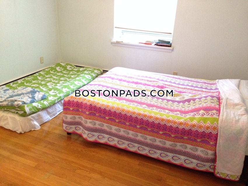 BOSTON - BRIGHTON- WASHINGTON ST./ ALLSTON ST. - 1 Bed, 1 Bath - Image 4