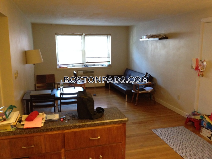 BOSTON - BRIGHTON- WASHINGTON ST./ ALLSTON ST. - 1 Bed, 1 Bath - Image 11